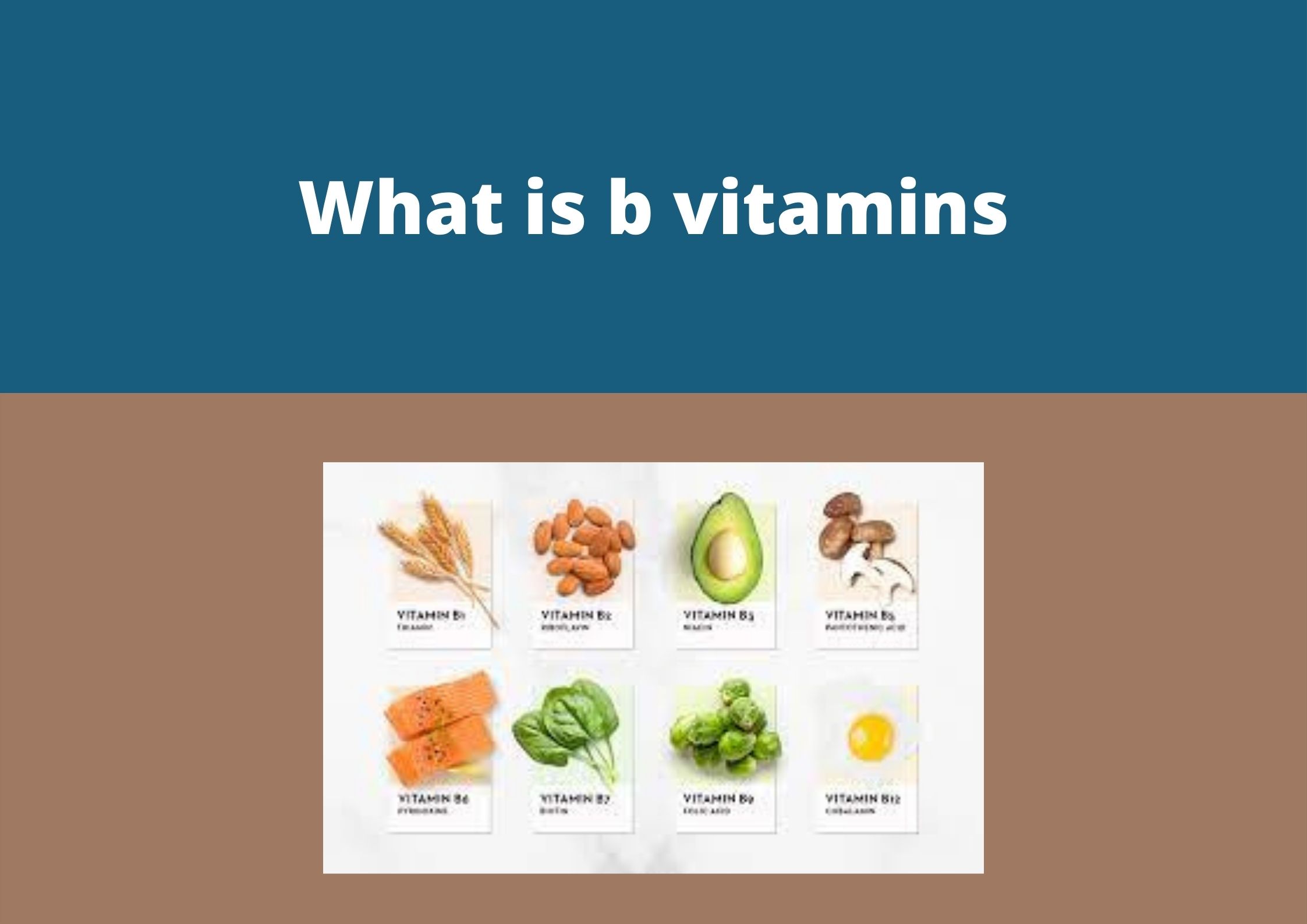 What is b vitamins