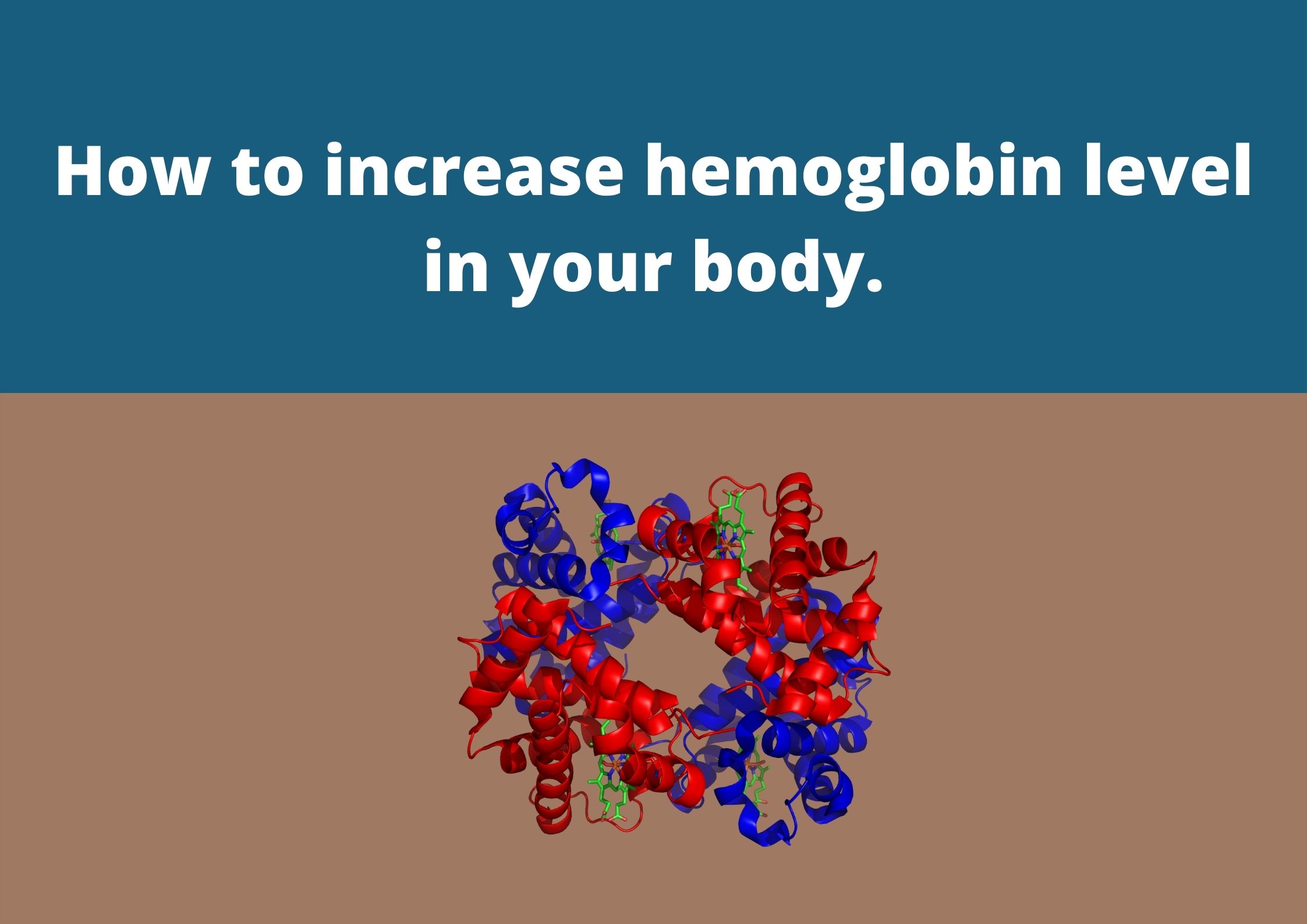 How to increase hemoglobin level in your body
